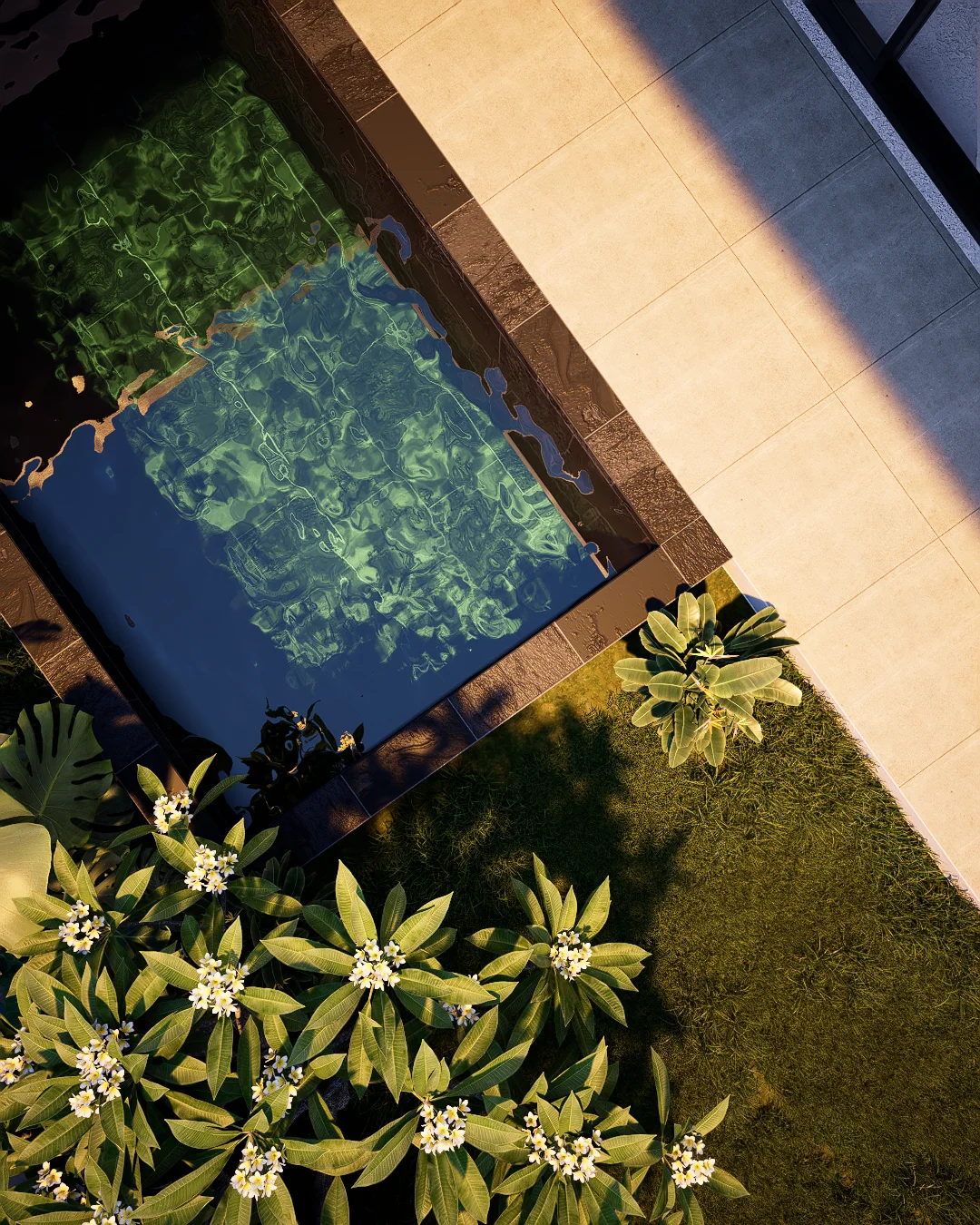 projet 3d membre fabien piscine vue zenith plumeria