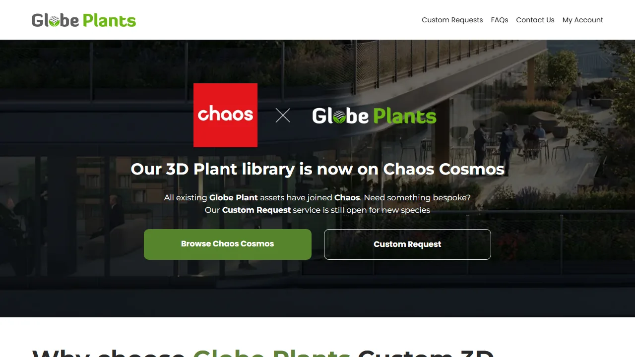 globe plants